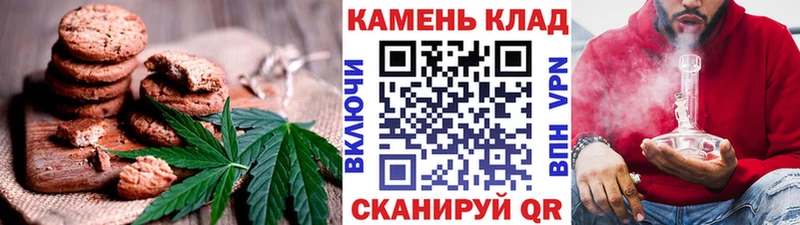 купить наркоту  Новотитаровская  omg   Печенье с ТГК конопля 