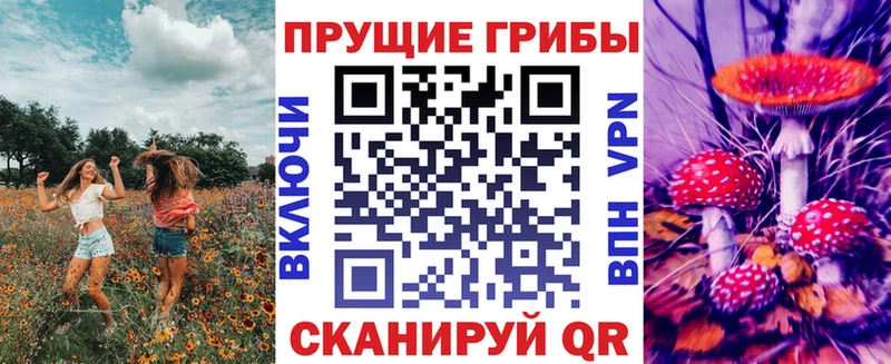 Галлюциногенные грибы GOLDEN TEACHER  где продают наркотики  Новотитаровская 