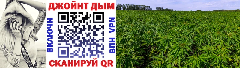 blacksprut вход  Новотитаровская  Каннабис гибрид 